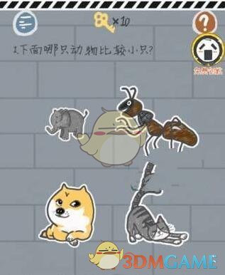 游客买瓜起争执 170克手机称出340克
